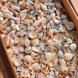 拼插类玩具;积木类;惯性回力玩具