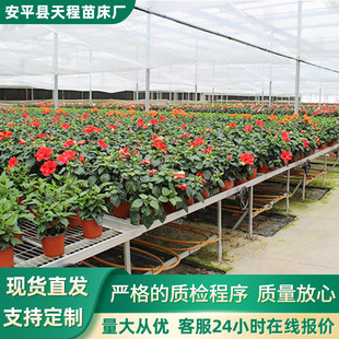 ���ܜ��һ�����������r���X�Ͻ�߅�����\䓰�W���紲�Ƅ��紲