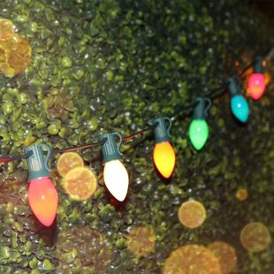 �羳��ҎC7 LED��������25��������ʲ��������}�Q��ͥԺ�b�