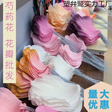 �������y����ș�����껨�Ļ�����ϰ��Ʒ�ֹ����ͼ�ˇ������