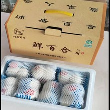 2025年新货兰州百合礼盒3斤5斤装抽真空新鲜甜百合送亲访友批发