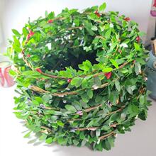 新款简约绿叶花环饰品头饰发箍森系花环地推儿童节藏族发饰景点