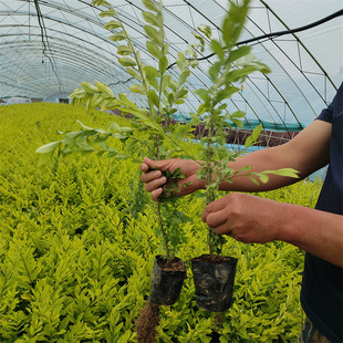 ���~ˮϞ��G�h�ر��I�B��ˮϞ�ս��~ˮϞ����ͥԺ���Ա���С��