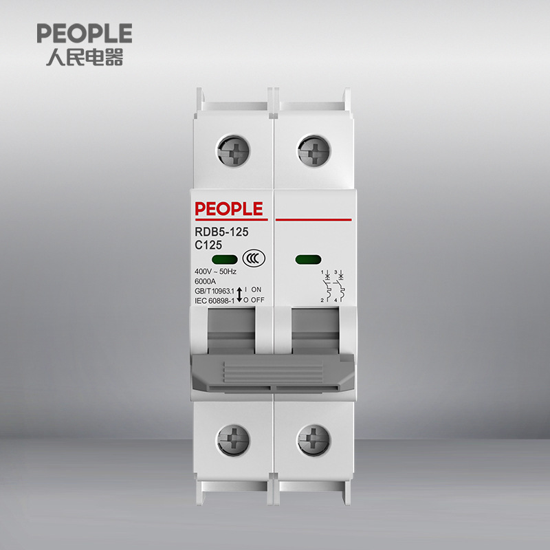 人民电器集团RDB5-125 2P C D型63-125A小型断路器家用空气开关
