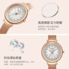 Fashionable waterproof watch