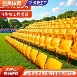 厂家直销场馆固定看台中空吹塑座椅露天体育折叠椅子户外专用长排