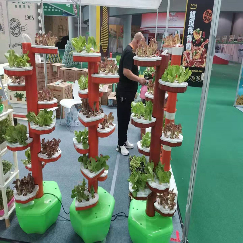 Casa Jardinería cultivo independiente jardín de infantes ciencia popular cultivo tridimensional sin suelo educación escolar cultivo de plantación de vegetales