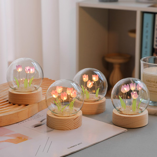 �������������Сҹ���ֹ�diy���ϰ����⻨���b�Ʒ ��Ů���YƷ