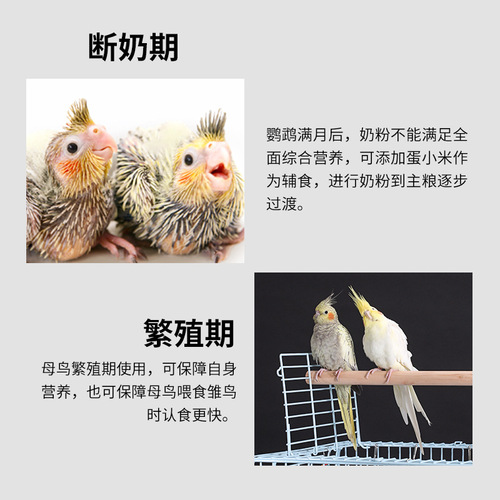 Parrot egg millet feed egg rice bird food yellow millet promotes egg laying tiger skin black phoenix peony breeding and brooding