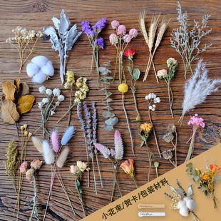 ��Ȼ�ɻ��^��֦���Ϗ͹��滨�ֹ�diy���bС�����R�����Ո���[�