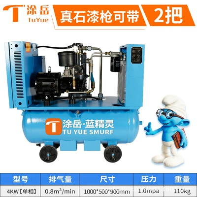 Tu Yue Smurfs Remote Permanent Magnet High-Power Exterior Wall Air Pump Real Stone Paint Engineering Model Variable Frequency Screw Air Compressor (Hava kompressorları) - 4kw-without-windshield