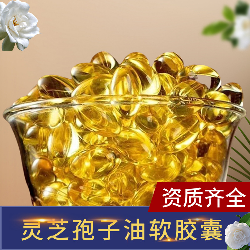 長白山特産の藍帽霊芝胞子油カプセル、大量卸売食品ギフトボックス、すぐに食べられるギフト|undefined