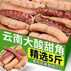 タマリンド雲南名物甘タマリンド新鮮甘酸っぱいタマリンド豆妊娠スナックナツメケーキタマリンド大粒甘酸っぱい