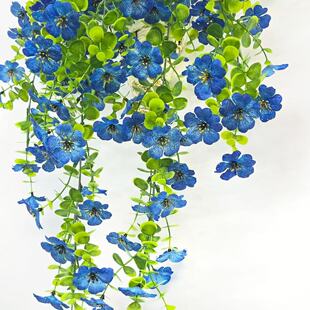 �������_�m������c�b[���廨���üٻ��ڒ�Ŀ���m���̈�����