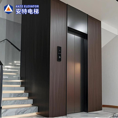 Производители лифта по бытовым лифтам прямой лифты поставки трехэтажные четырехэтажные пятиэтажные лифты виллы Супер тихий и удобные лифты виллы