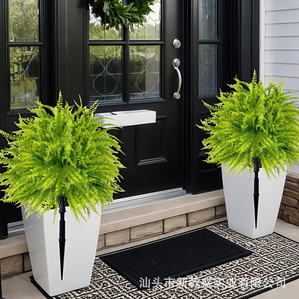 Green plant fern ground planting Boston fern realistic