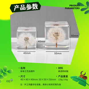 Dandelion cube resin crystal ball wholesale birthday gifts creative crafts resin small ornaments in stock
