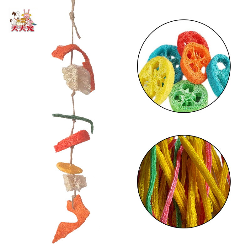 Natural loofah pet chew toys for hamsters, rabbits, guinea pigs, parrots, and small pets - dental cleaning, grinding, and gnawing beads