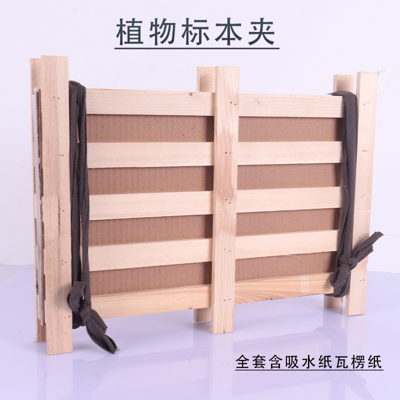 Plant label clip wooden label clip full set with absorbent paper corrugated paper leaves plant label clip biological teaching aids Plant label clip wooden label clip full set with absorbent paper corrugated paper leaves plant label clip biological teaching aids