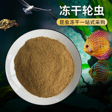 ���l���~�~ʳ�����x ���~�~�Z���ɸ�݆�x С���^�p�~���ϸ�݆�x