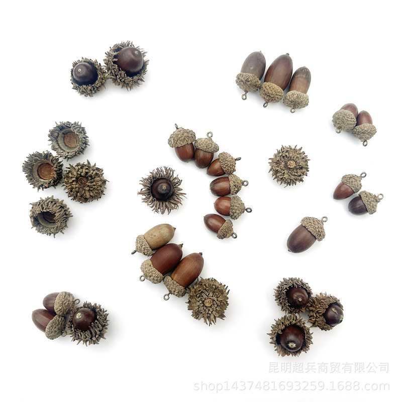 [hand stick small acorn] acorn dried flower hazelnut fruit fruit dried flower DIY material hooded acorn