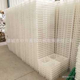塑料雏鸡转运箱规格通风散热鸡苗周转筐塑料鸡苗运输箱图片