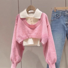 2025�����¿���ʽС���Ӷ̿�ë��Ů�OӋ��Polo�Iᘿ����ɼ�������