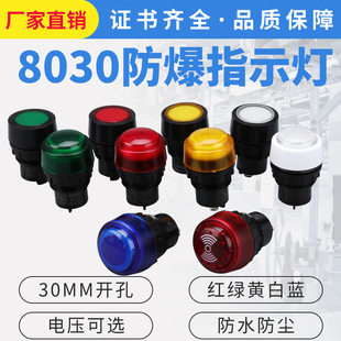 Bd8030 Explosion-Proof Signal Light Opening 30mm Explosion-Proof Indicator Light 24V36V220V380V Red Green Yellow White Blue