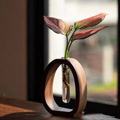 創意不規格木製花器デスクトップ生け花置物シンプルガラス置物花挿し水養透明花瓶