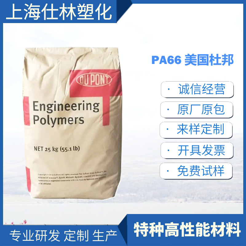 PA66 101F NC010 塞拉尼斯 连接器 电气应用 汽车应用 注塑成型