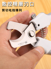 9P1E��|�����ྀ��[����|���|���������ք�늹��Q��늾������