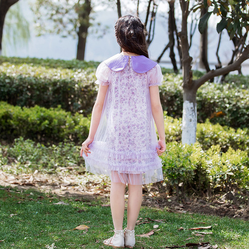 Girls Dress 2024 Summer New Korean Children's Dress Super Fairy Mesh Princess Dress Girls Dress Middle and Large Children Wholesale
