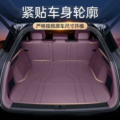 Trunk Mat Fully Surrounded by Trunk Mat