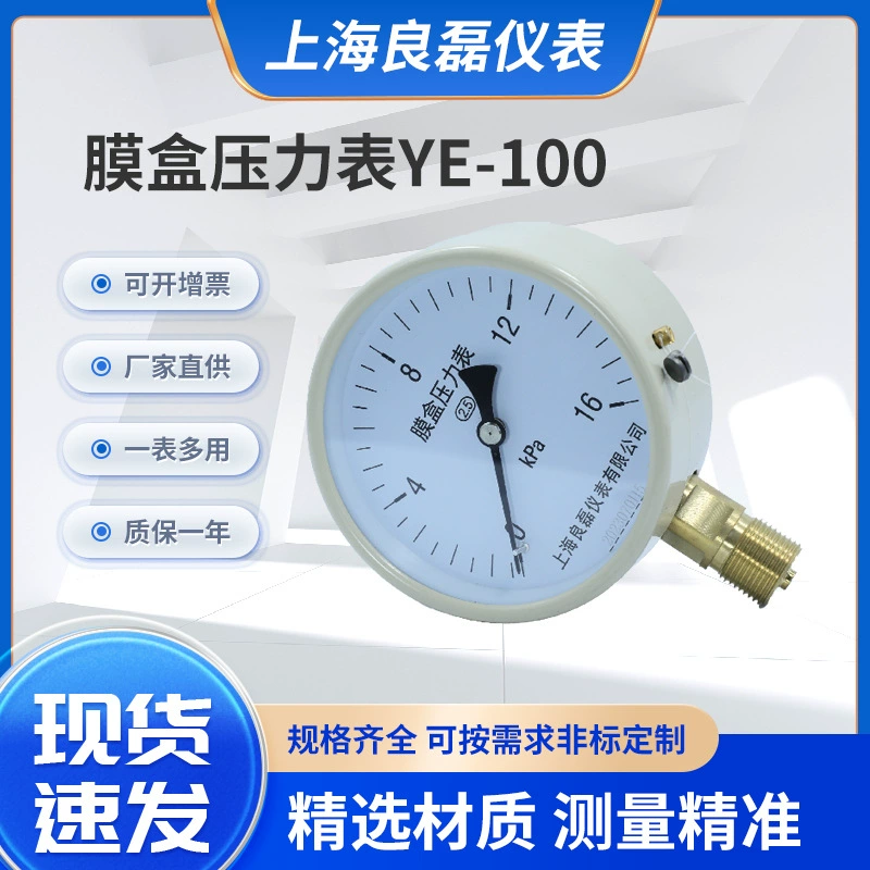 Манометр чугунный диафрагменный YE100 для измерения давления воды в быту, радиальный, с буферной трубкой и сварным основанием