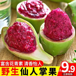 ���������ƹ�����������2���Ϸ�Ұ������������Ҋ���؟Ꭷˮ��