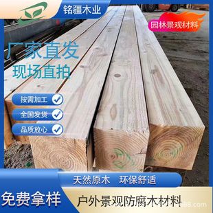 �����Fɼݗ���ɹŽ������ɰ�A��������ɼ�����Fɼ�M�����l���ϰ�