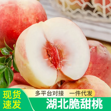 现货当季现摘应季毛桃新鲜水果孕妇脆桃水蜜桃冬桃红桃子整箱包邮