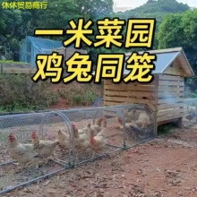 �����B�u�ܵ�ɢ�B�u����������ɢ���u�\���_�ߵ��B�u���Ƅ��Bֳ�W