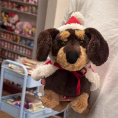 国産ジェリーキャットニップ社のジェリークリスマスケープを着たダックスフンドのぬいぐるみ