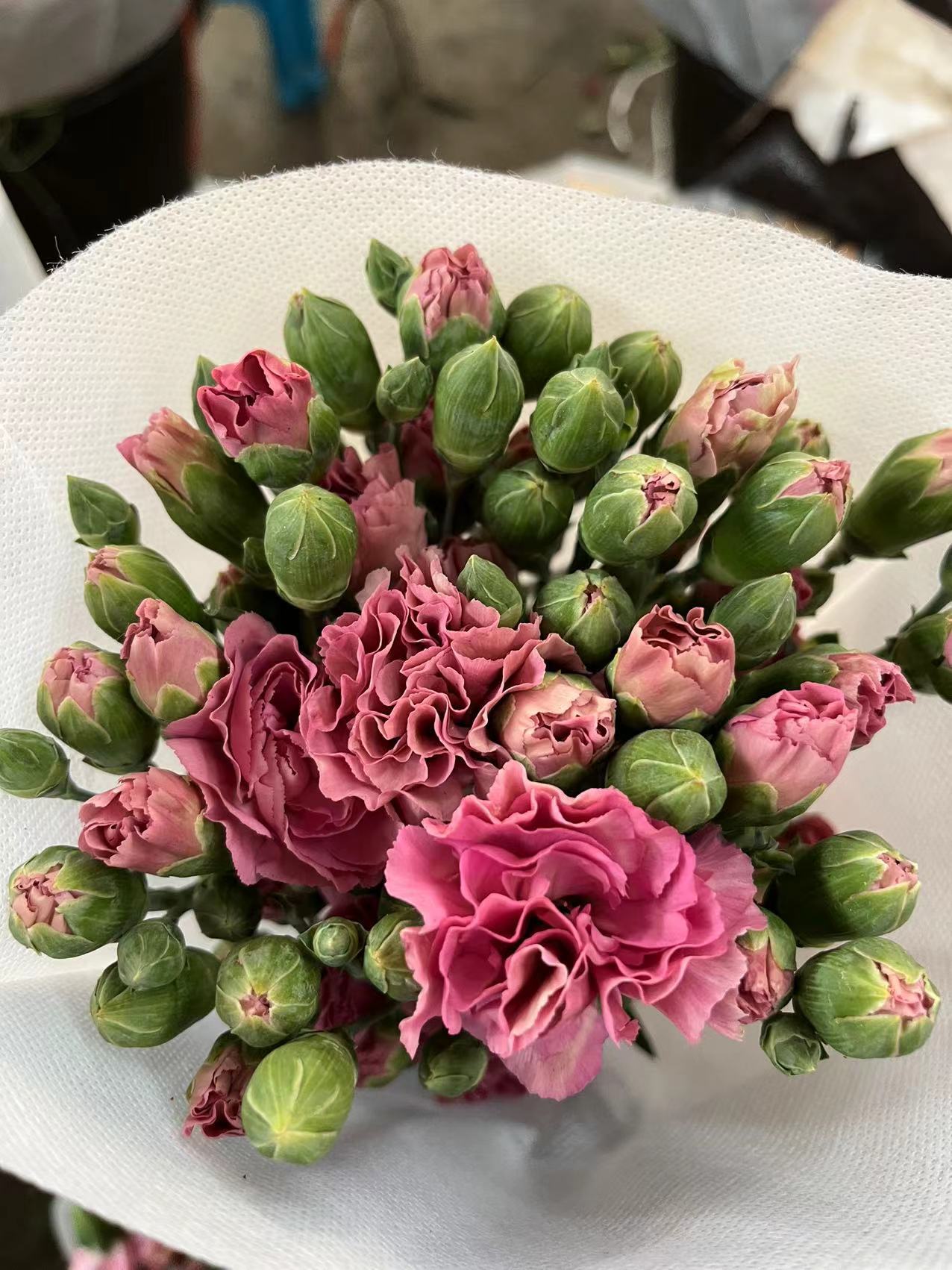 微信图片_20230214210301