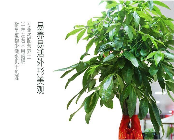 aa42857c-6df9-49b1-8fc2-022ea66c139a.jpe