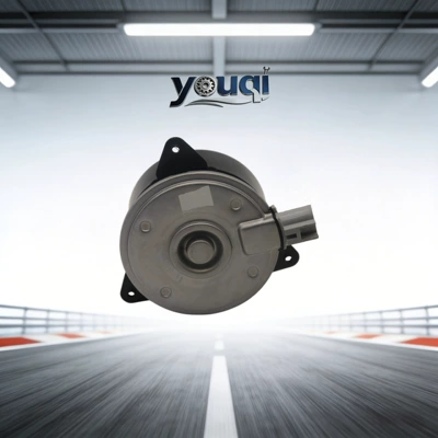 Fan Electronic Fan Motor L
