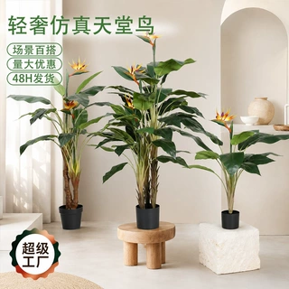 室内轻奢仿真天堂鸟仿真绿植家居落地装饰摆件民宿软装造景假植物