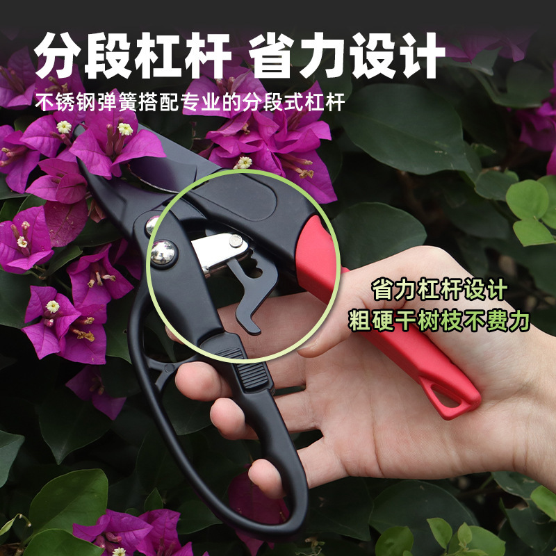 三段滑轮齿轮式修枝剪SK5省力果树果枝采摘剪护手安全大力粗枝剪|undefined