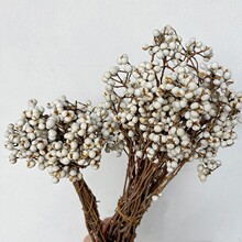 С�׹��ɻ�  �}�Q���׹������޲�׹��ɻ�diy���ϰ���޹Ϟ�T�F��