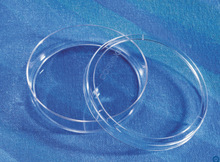 35mm�������B�� ���� ؛̖430165 ��߶�10mm ���L��e9cm&sup2;