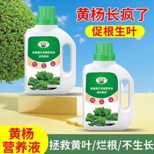 �S����S���~���àI�BҺ���ϼ�������ֲ��Һ�w���҃��B���Gֲͨ��