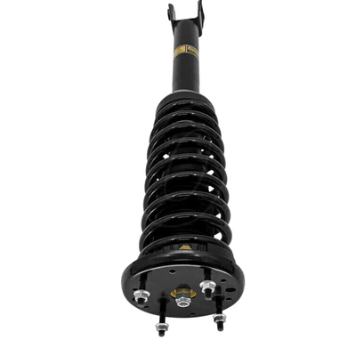 Shock Strut Assembly with – damping system