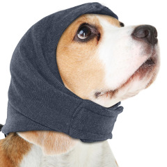 新しいペットの犬は頭をなだめます。犬はびっくりして首をなだめます。