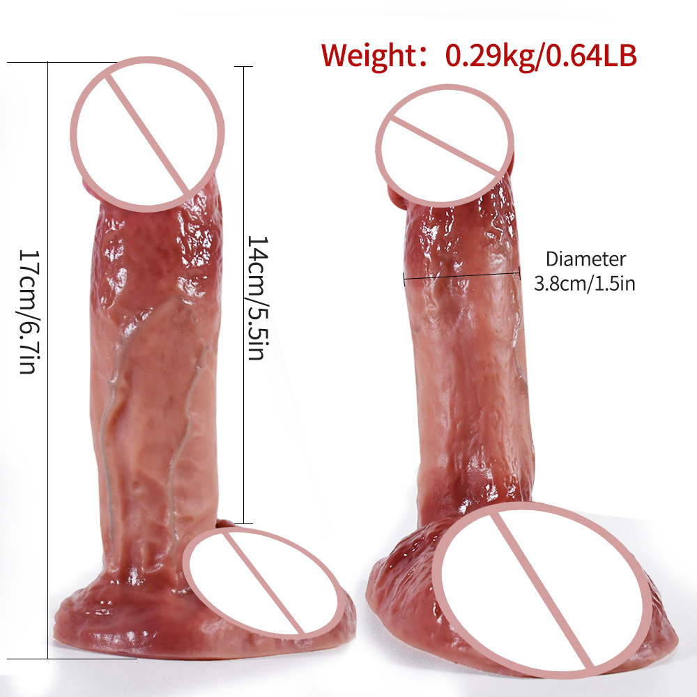 메이크업 시뮬레이션 페니스 대형 AR145H5